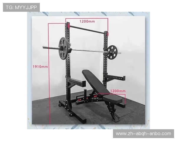 高端室内健身器材的选择与使用指南，助你打造完美家庭健身房